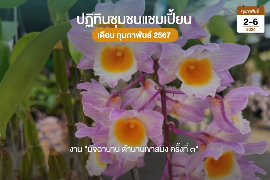 มัจฉาบาน ตำนานเข้าสมิง ตราด