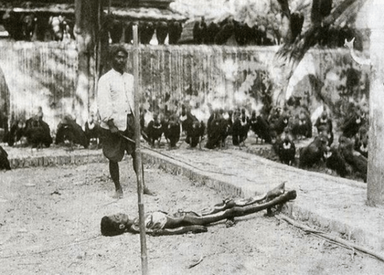 แร้งวัดสระเกษ