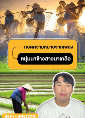 หนุ่มนาข้าว สาวนาเกลือ