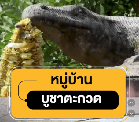 บูชาตะกวด