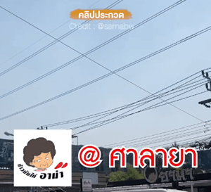 ข้าวมันไก่อาม่า