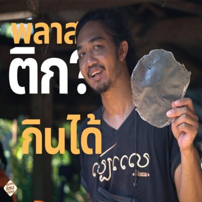 พลาสติกกินได้