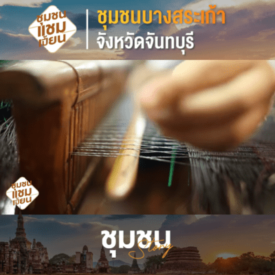 แหล่งต้นกก