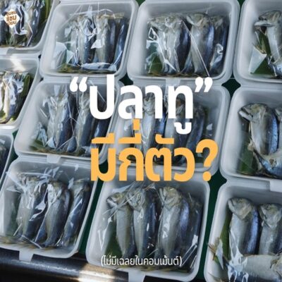 ปลาทูแม่กลอง