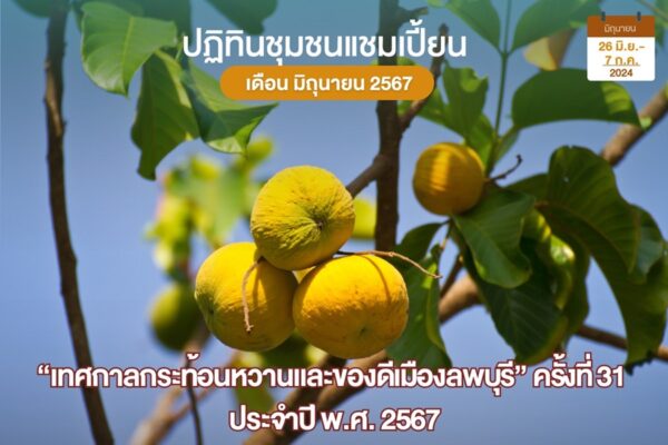 เทศกาลกระท้อนหวาน