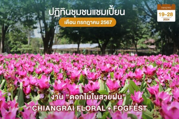 ดอกไม้ในสายฝน