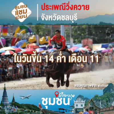 วิ่งควาย