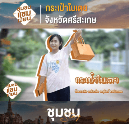 กระเป๋าใบเตย