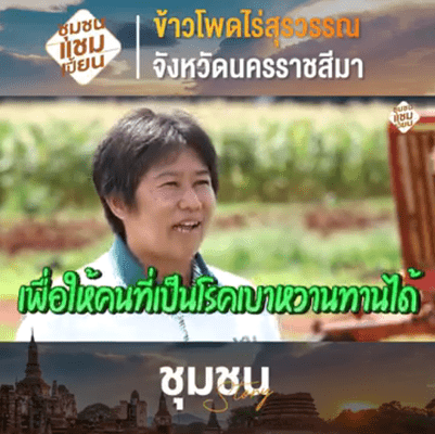 ข้าวโพดไร่สุวรรณ