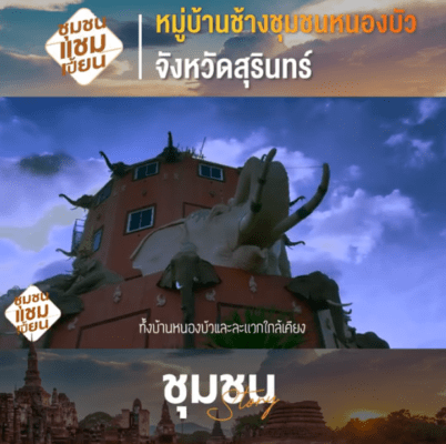 วิถีช้าง ชีวิตคน